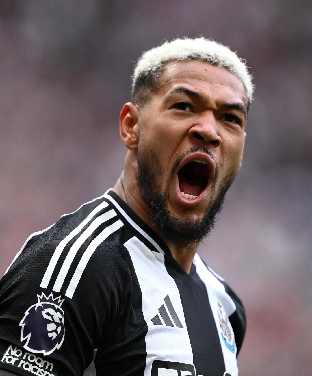 冲刺阶段纽卡斯尔刷新队史纪录:荷甲节点到来,气氛紧张,心理建设被强调 冲刺阶段纽卡斯尔刷新队史纪录:荷甲节点到来,气氛紧张,心理建设被强调